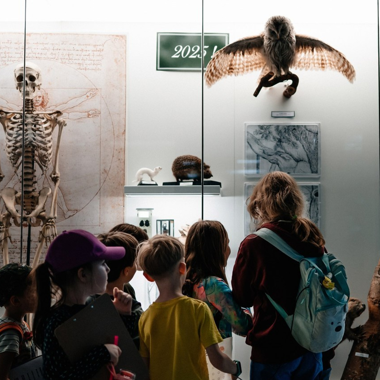 Отзывы. Свадебный и портретный фотограф Юлия Пыльченко