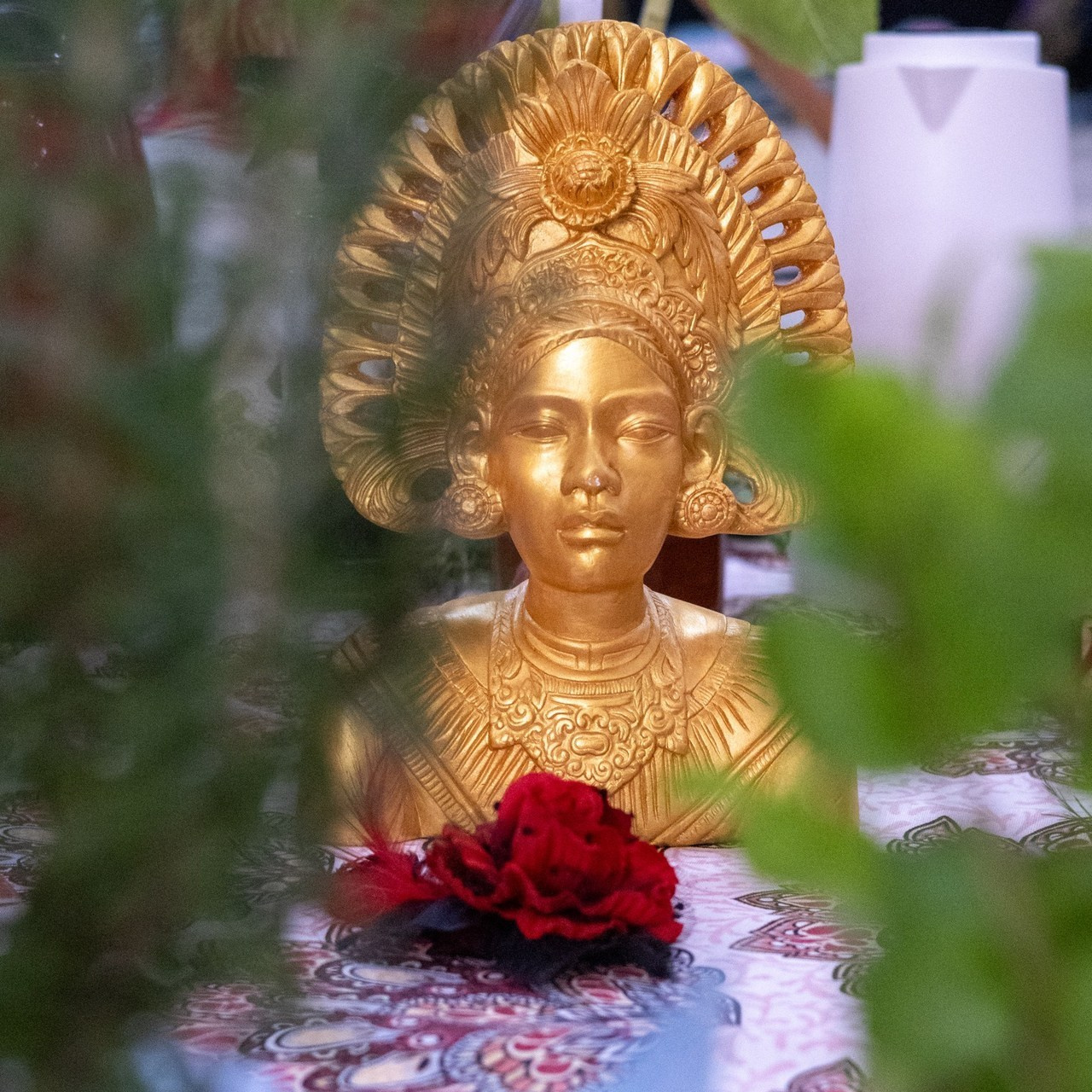 DEPOIMENTOS. Edilene Silva Fotografa Profissional