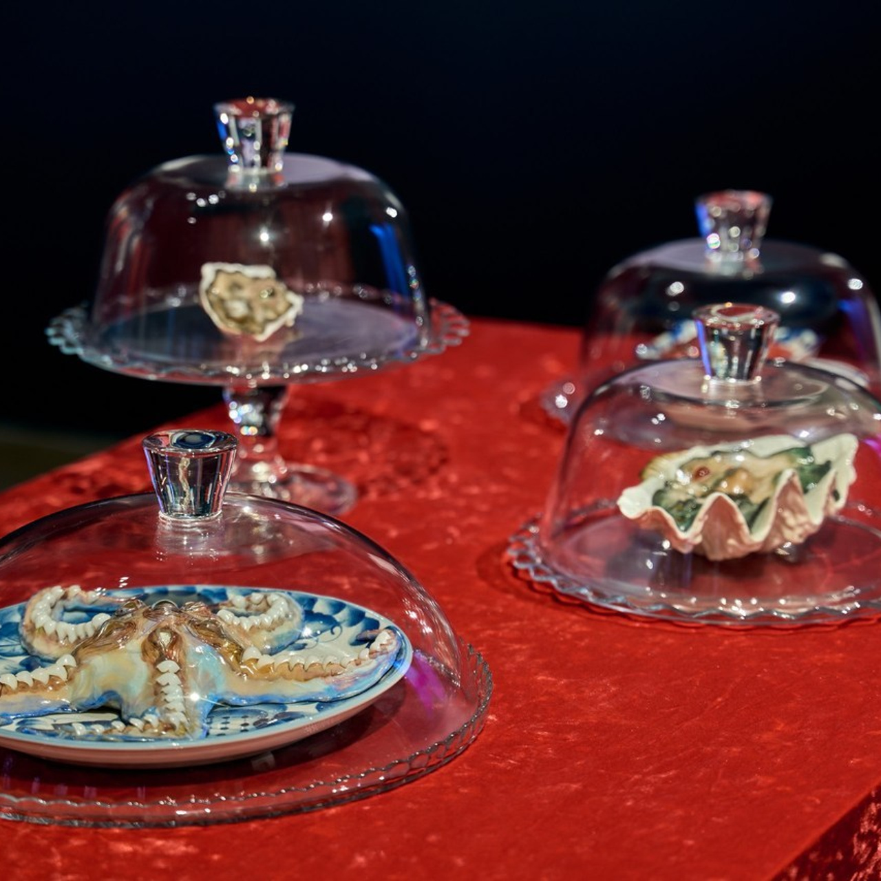 Отзывы. Фотограф в Барселоне, в Испании, по всей Европе - Андрей Пасечник. Тел