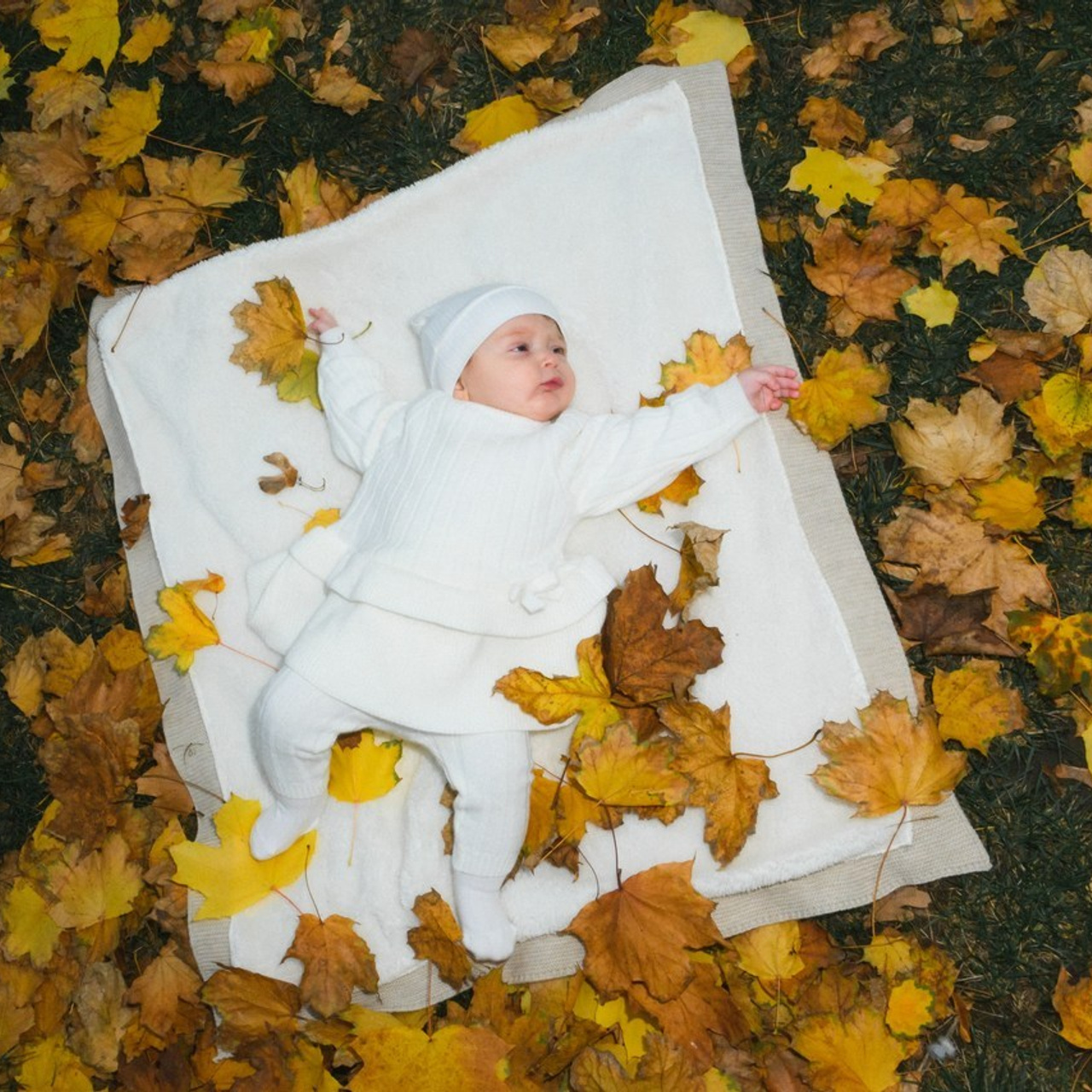 Отзывы. Свадебный и семейный фотограф в Кишинёве Даровский Александр