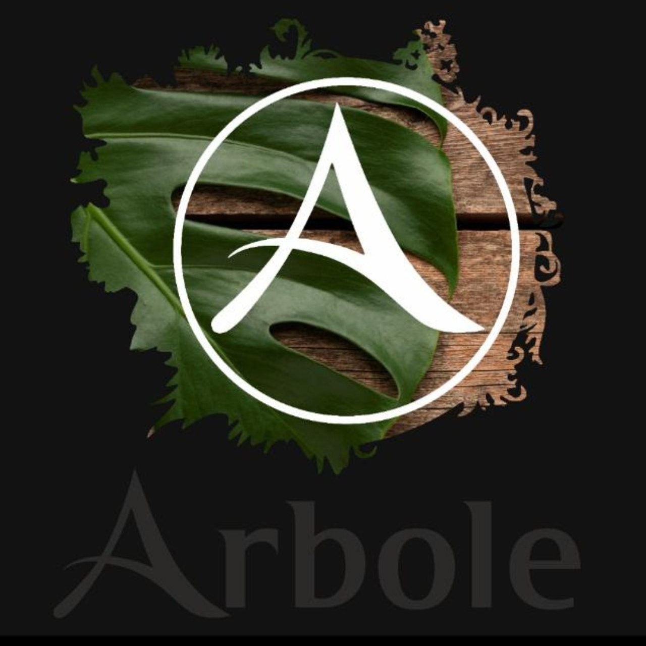 Отзывы. Свадебный фотограф Карасов Анатолий на КМВ и весь Ставропольский край