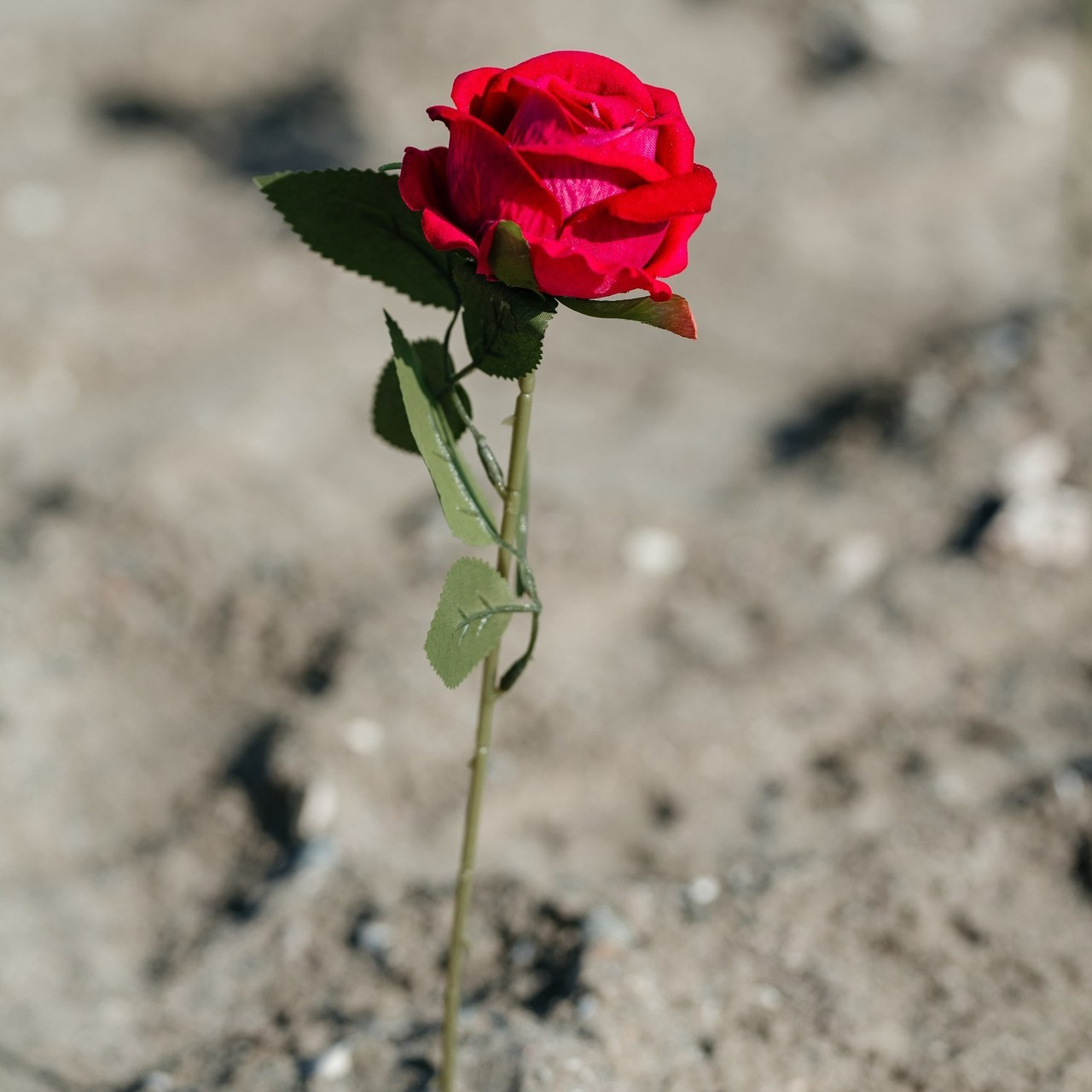 Testimonials. AdrianOltean.wfolio.pro