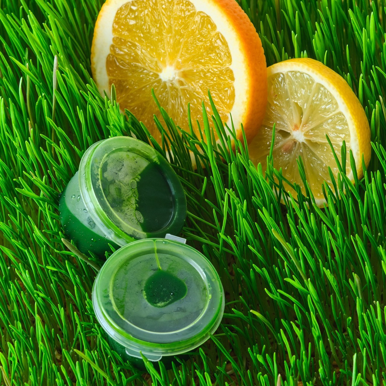 Отзывы. Предметный и индивидуальный фотограф в городе Бишкек, Петров Ратмир