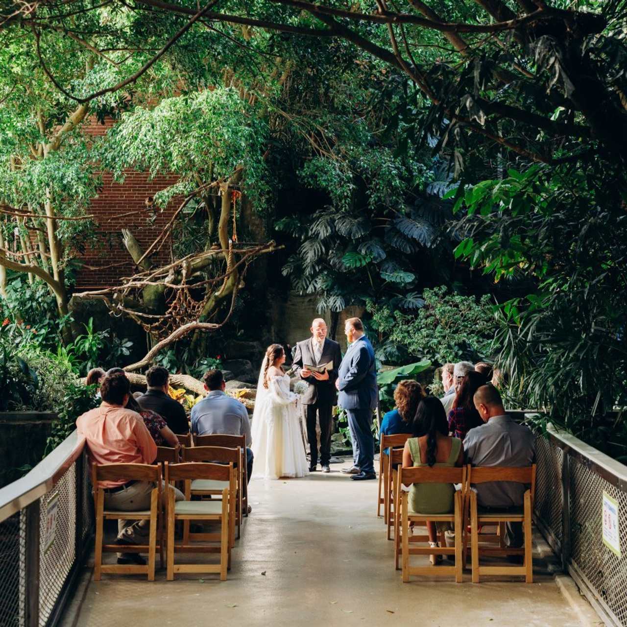 Testimonials. Pittsburgh wedding and family photographer