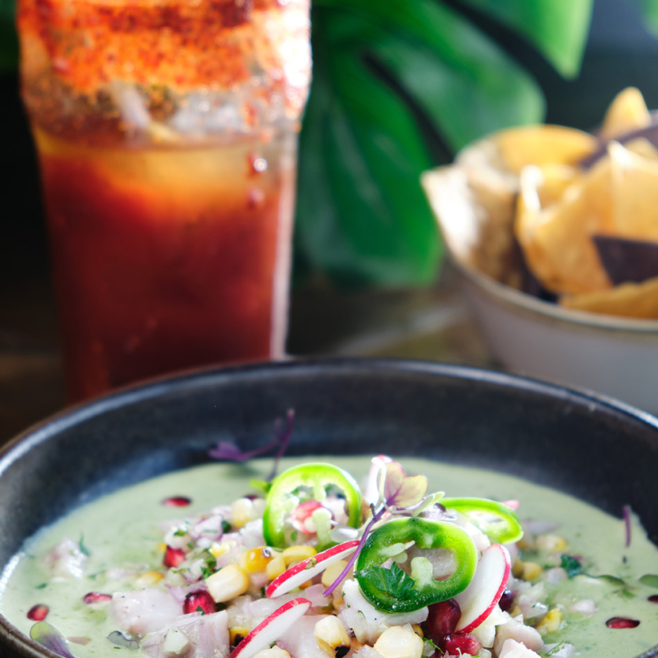 Servicios fotograficos, video y diseño Torrevieja