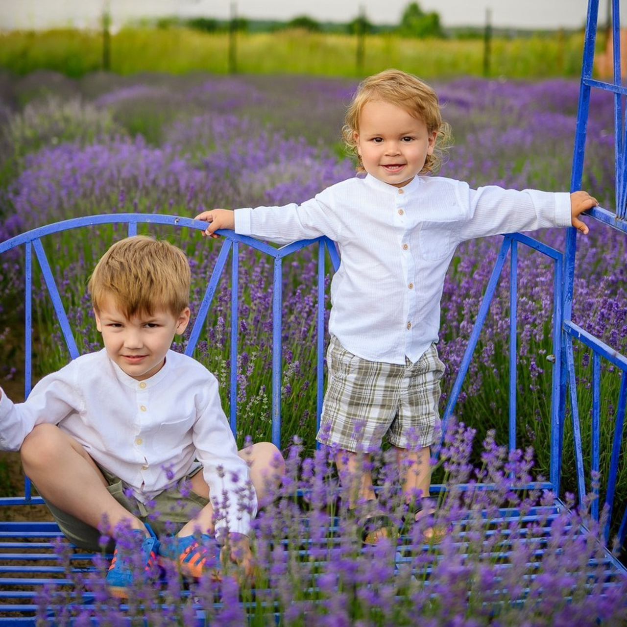 Testimonials. Daria Kids Photo studio foto pentru copii in Bucuresti, Militari