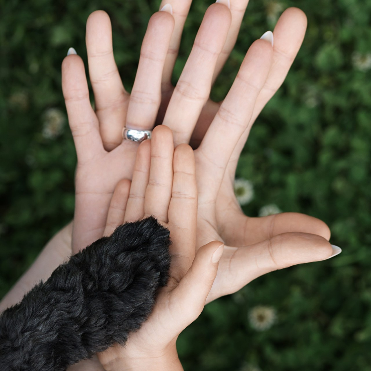 TESTIMONIALS. Family and Child Photography in Tulsa Oklahoma