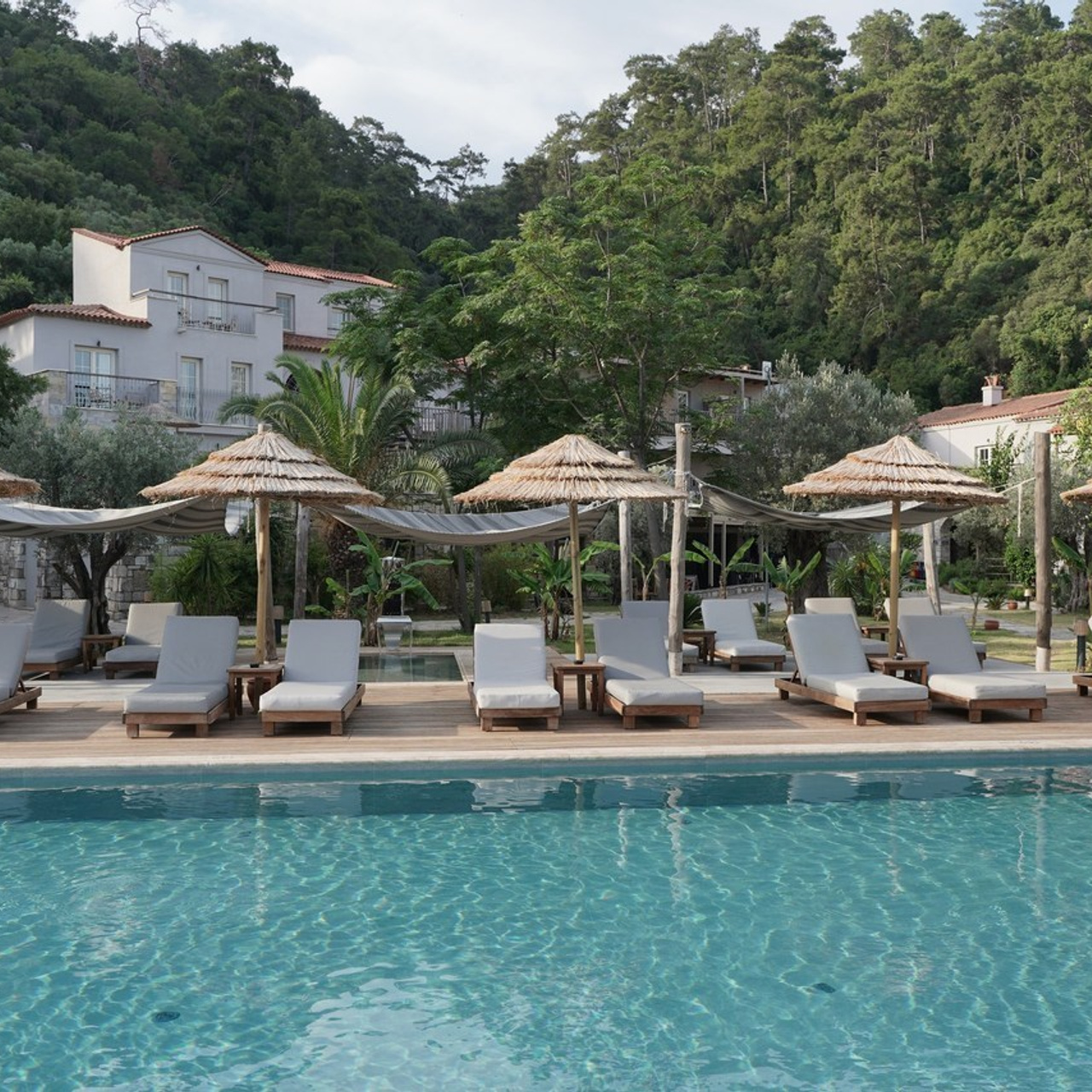 Testimonials. Sketch ~ Photos & Videos