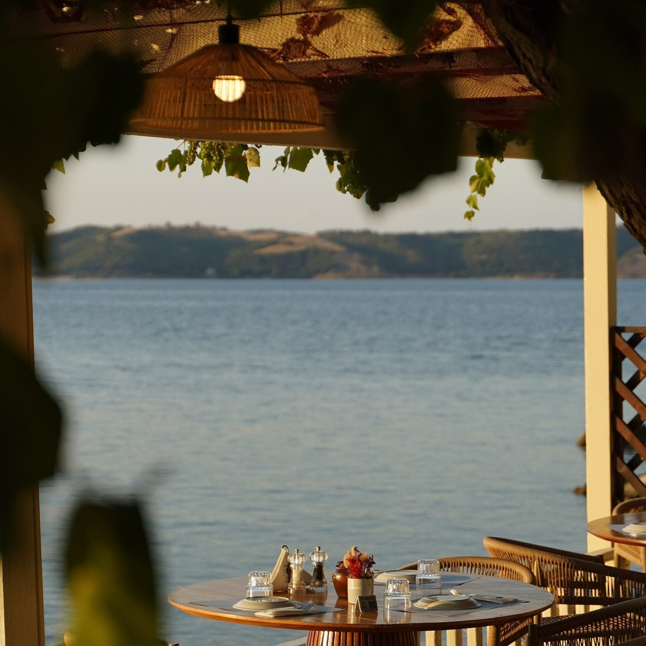 Testimonials. Sketch ~ Photos & Videos