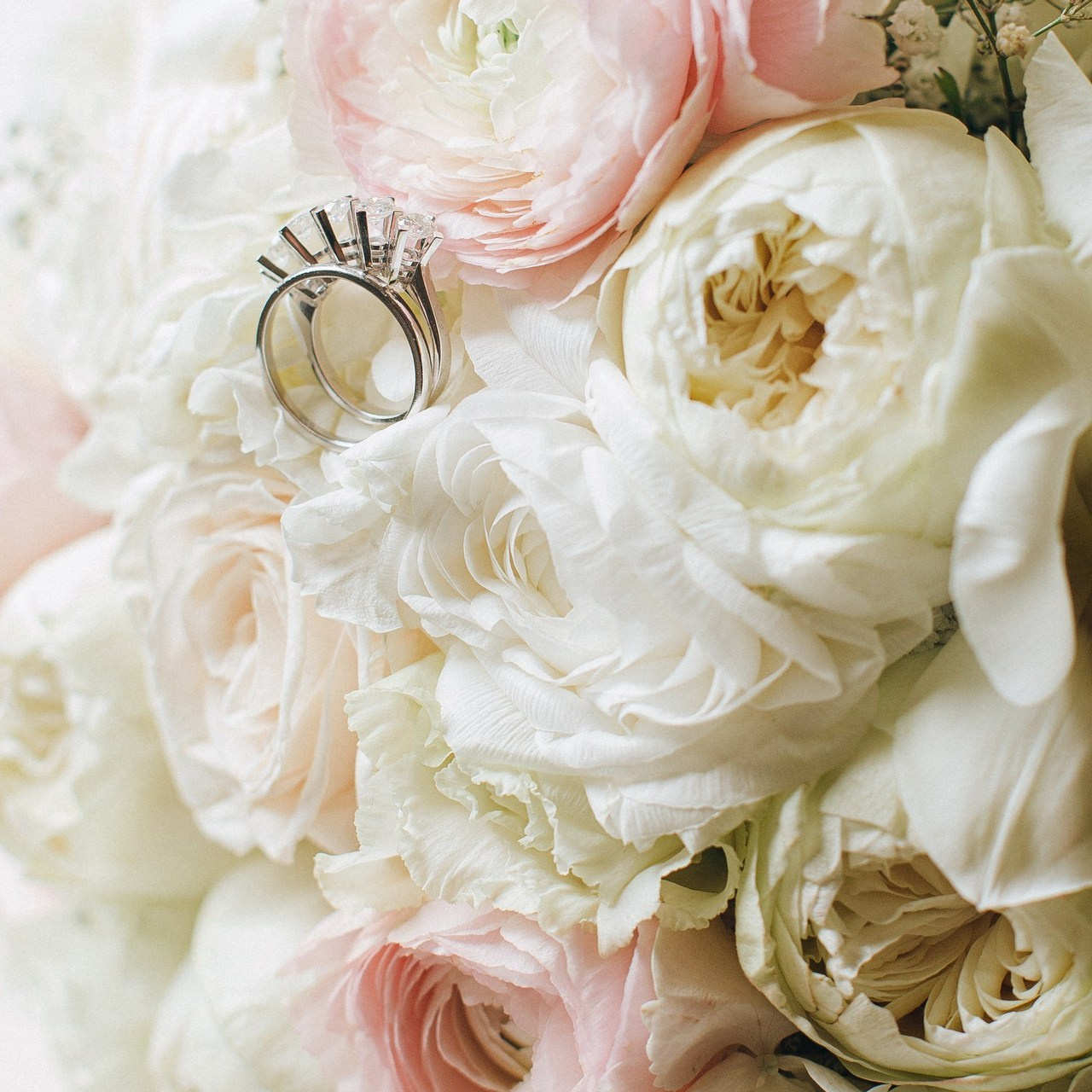 COMMENTS. Wedding&Event photographer Ismail Rzayev in Baku