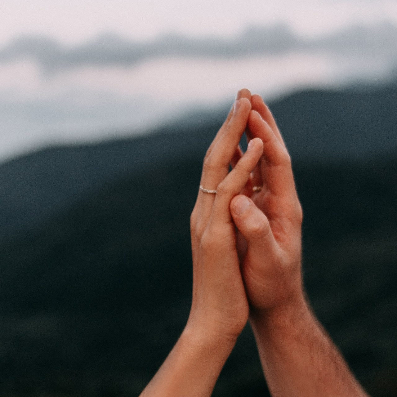 Отзывы. Wedding and portrait photographer in Beograd Ekaterina Makedonskaya