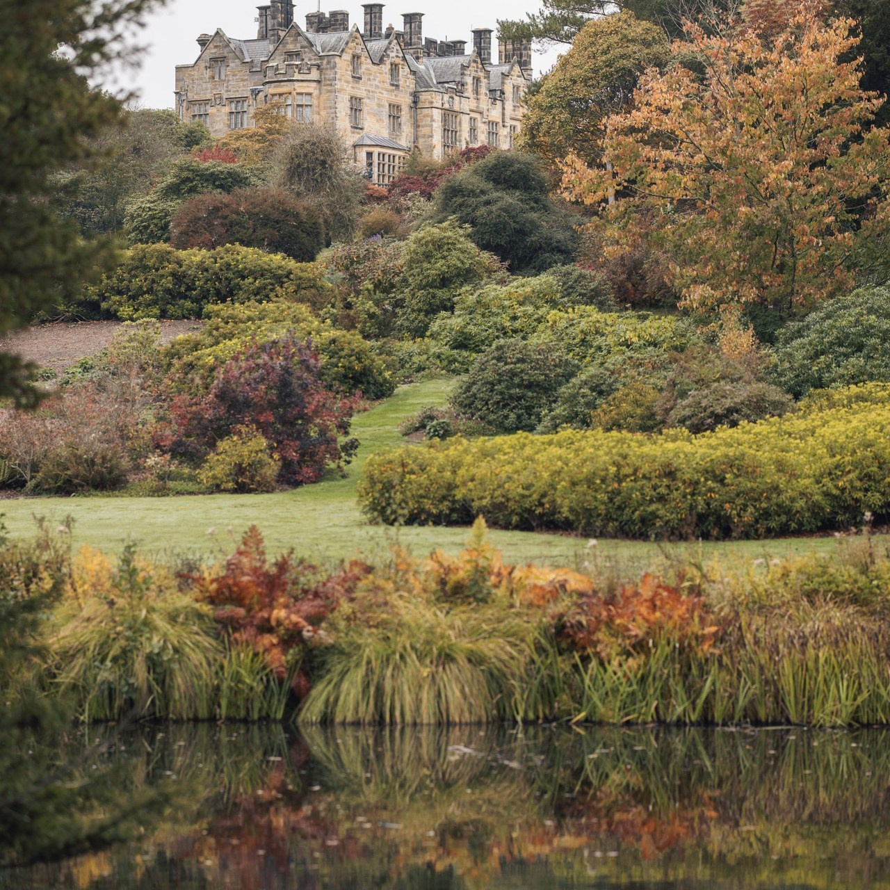 Reviews. PHOTOGRAPHER IN LONDON