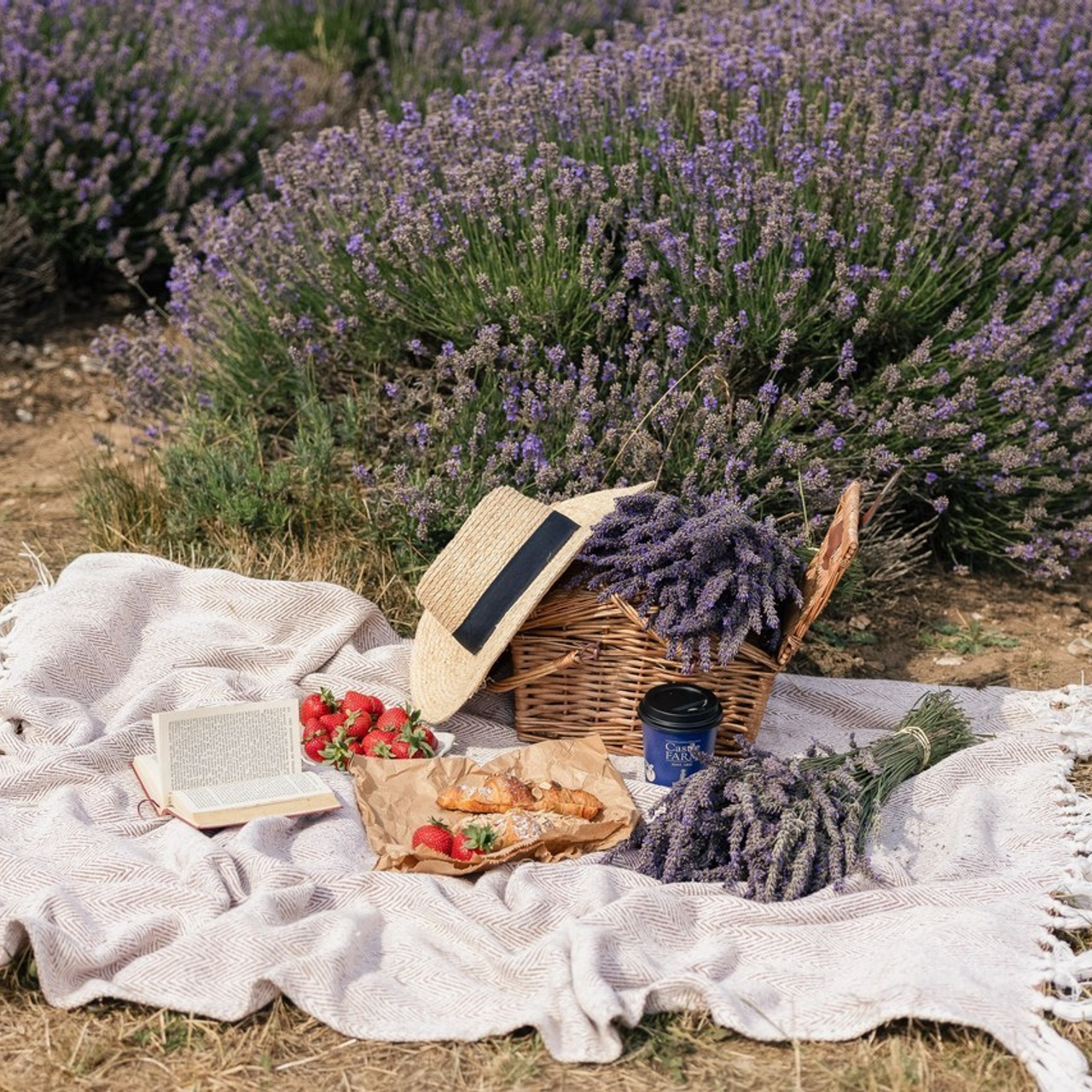 Reviews. PHOTOGRAPHER IN LONDON