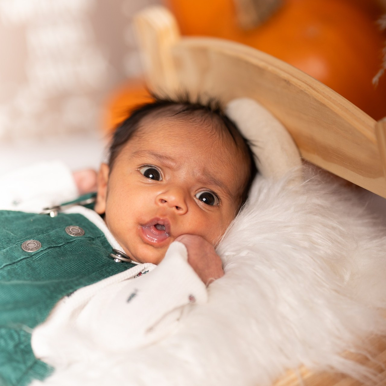 Reviews. Calgary Portrait & Family and Child Photographer