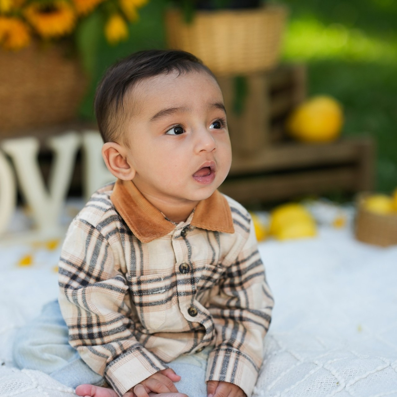 Reviews. Calgary Portrait & Family and Child Photographer