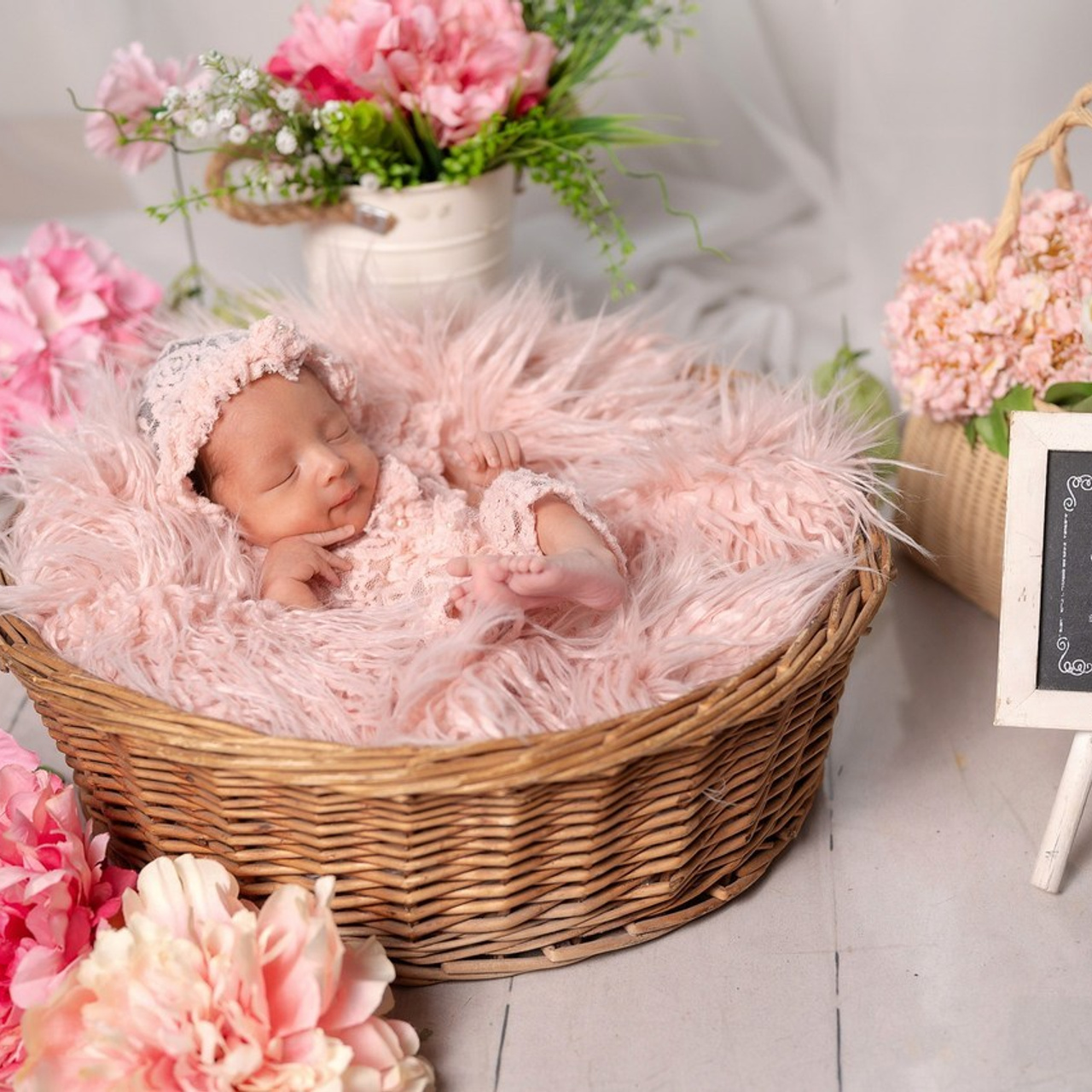 Reseñas de Anna Pryadko Fotógrafa. Anna Pryadko fotógrafa profesional en David, Chiriqui