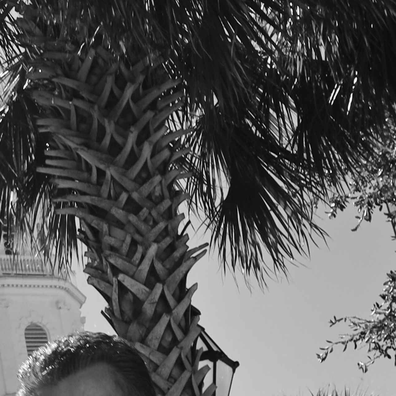 Reviews. Sonny Photos