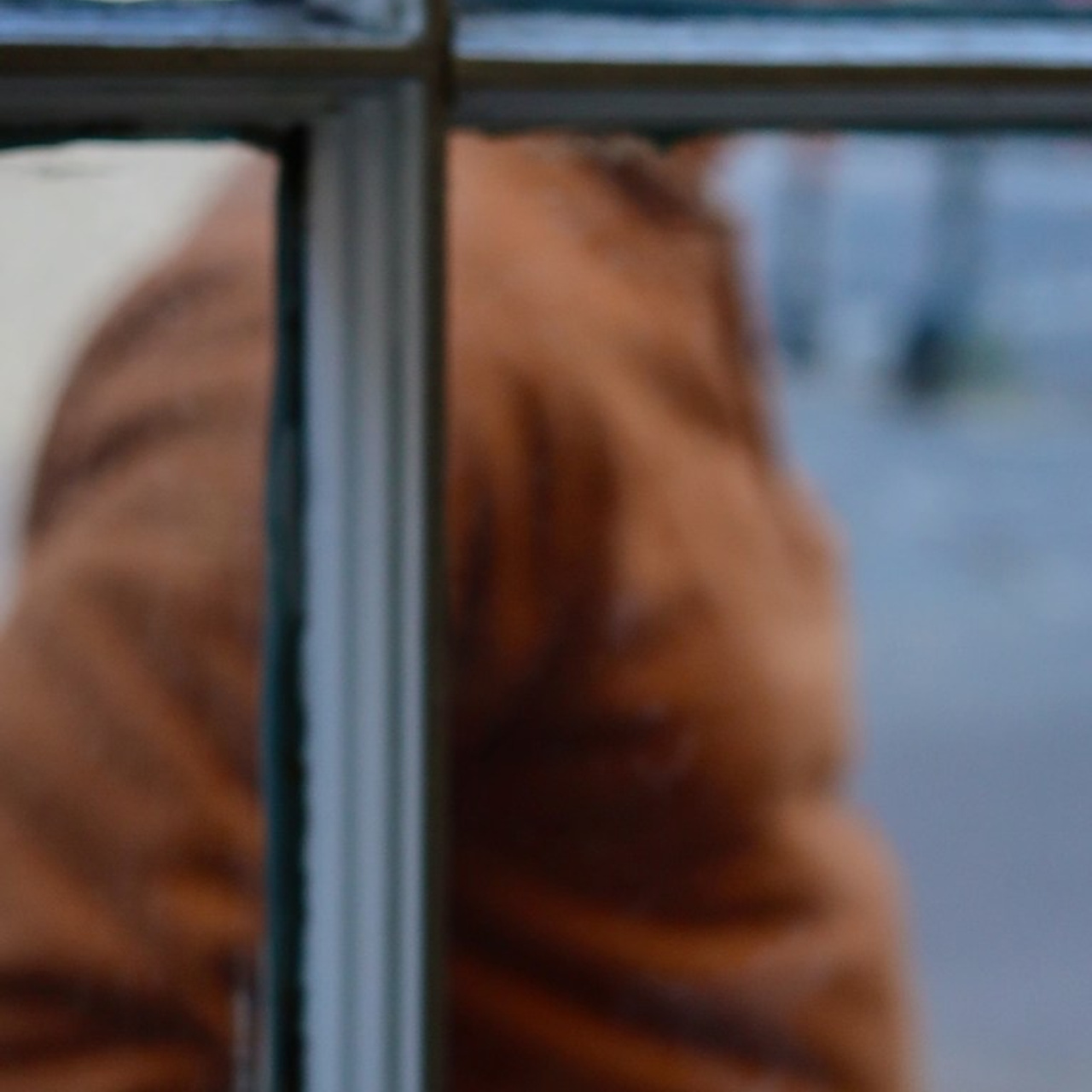 Reviews. Sonny Photos