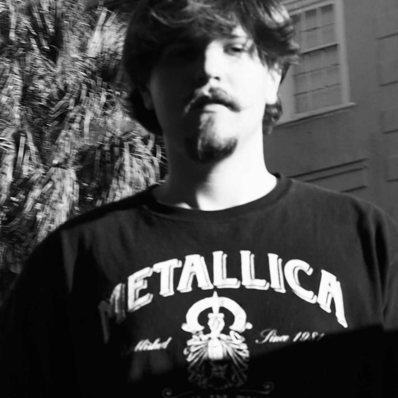 Reviews. Sonny Photos