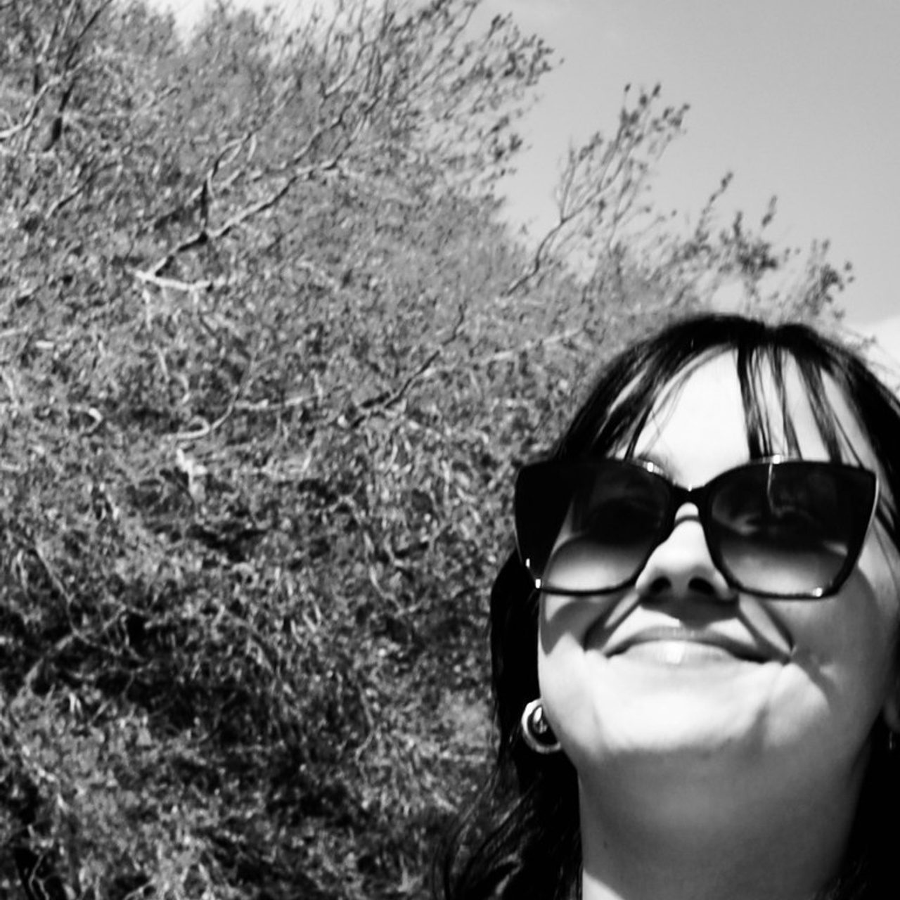 Reviews. Sonny Photos