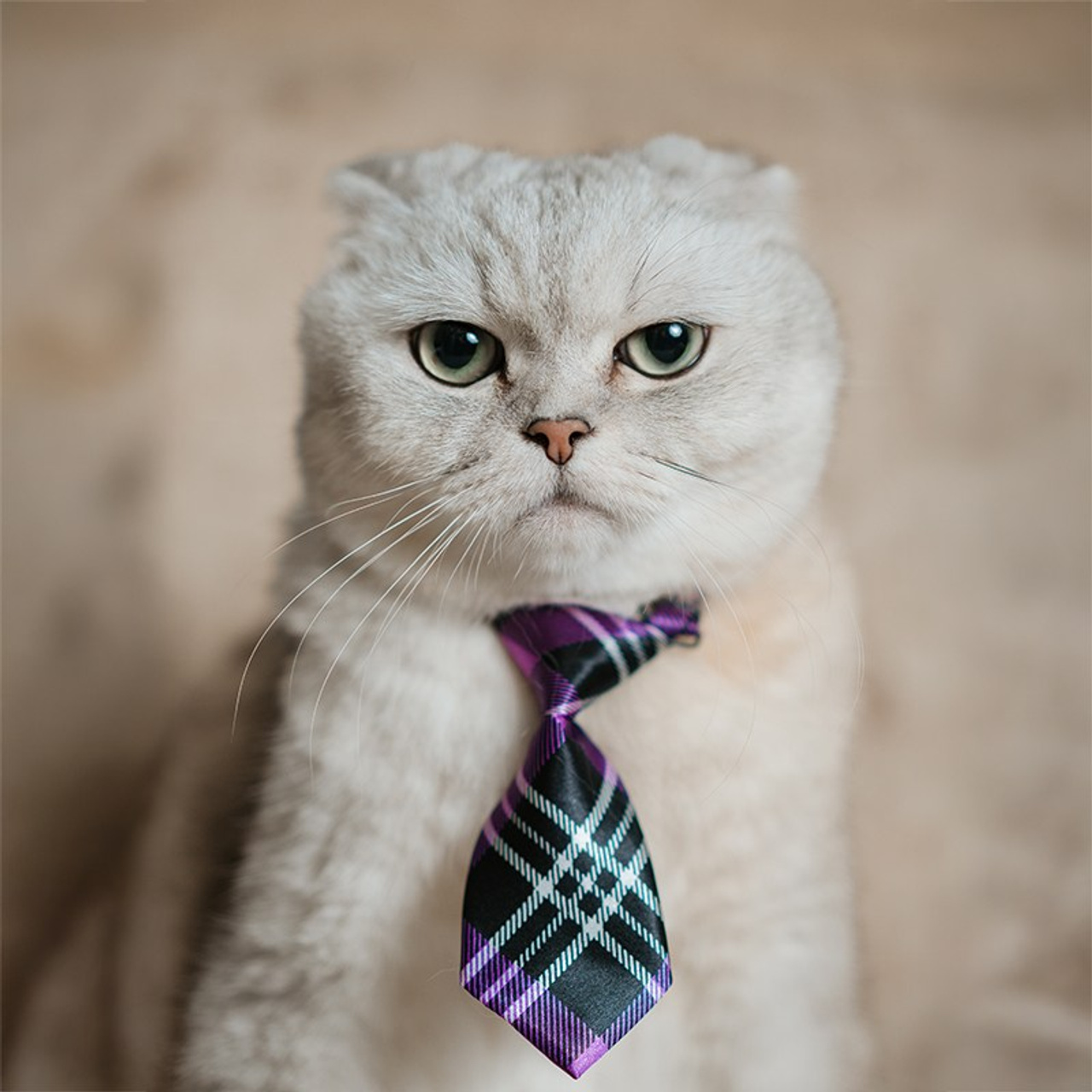 Отзывы. Alex Levi