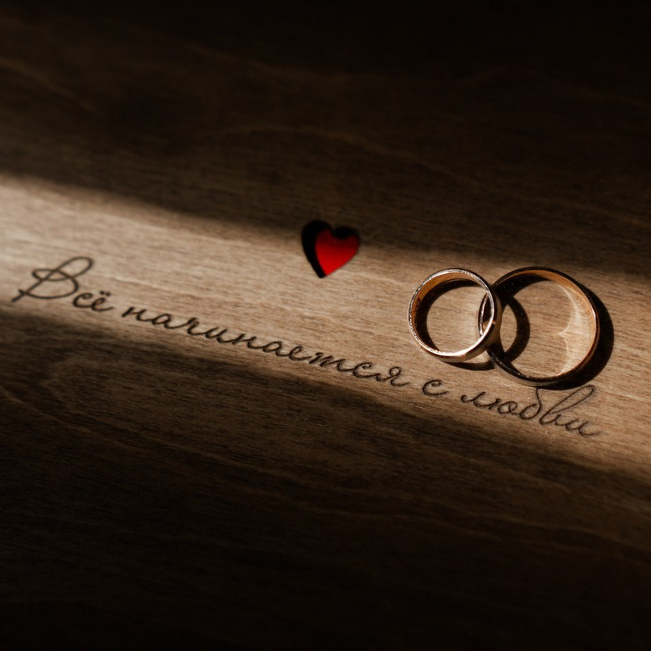 Отзывы. Alex Levi