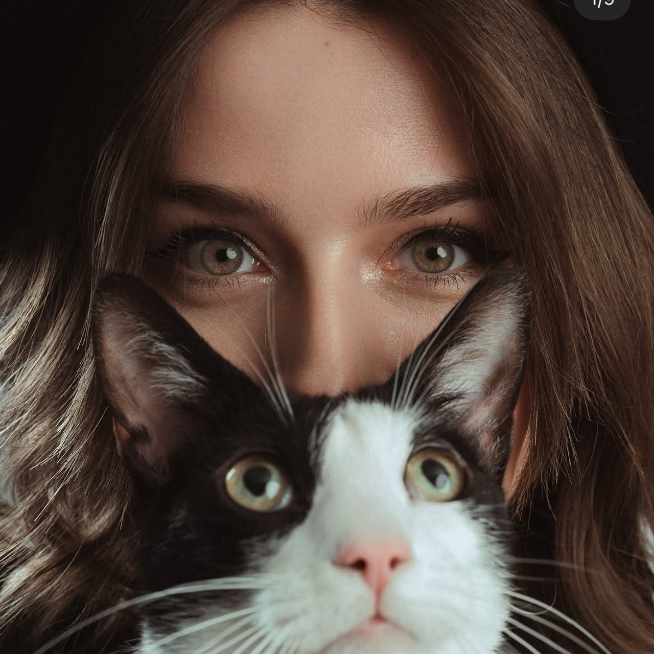 Feedback. MY Photography