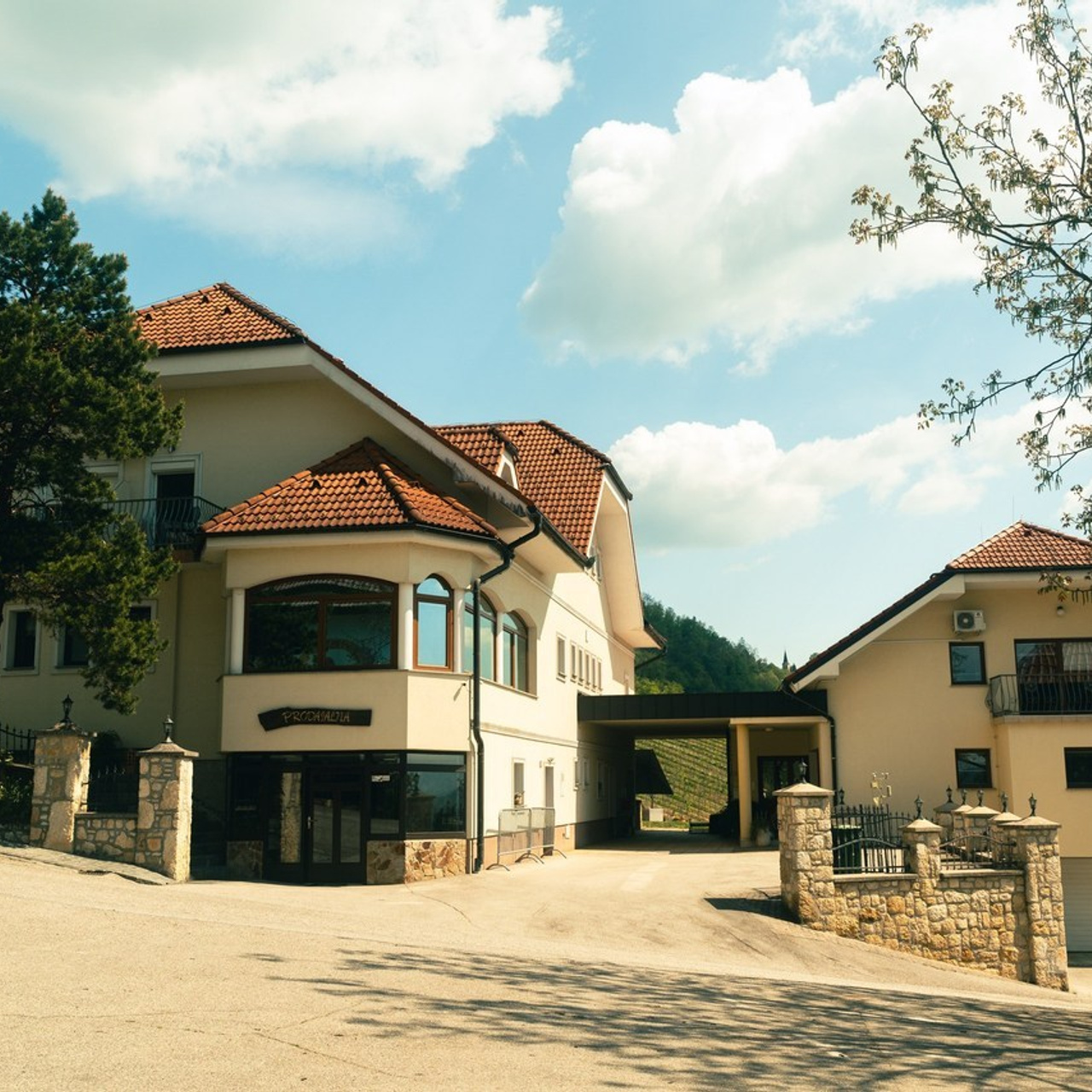 Отзывы. Photographer Mariia Bortiakova