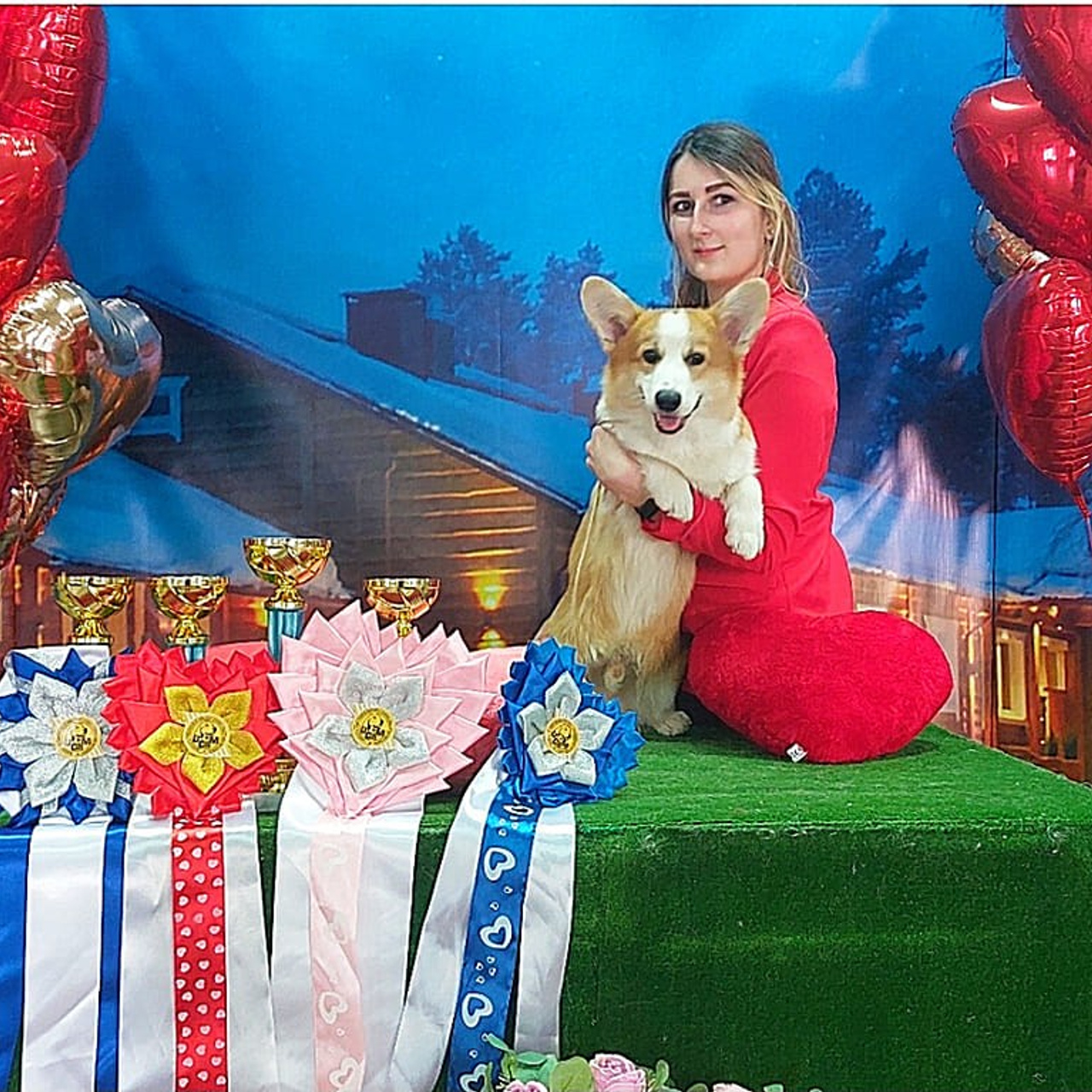 Про мене. Репортажний фотограф/анімаліст КИЇВ