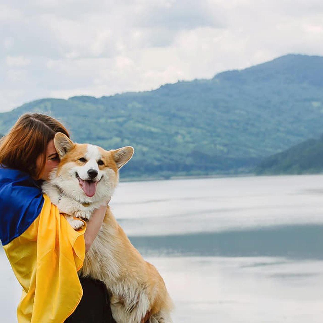 Про мене. Репортажний фотограф/анімаліст КИЇВ