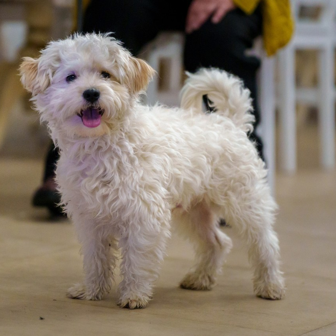 Testimonials. Cosmin Neață | Visual Artist