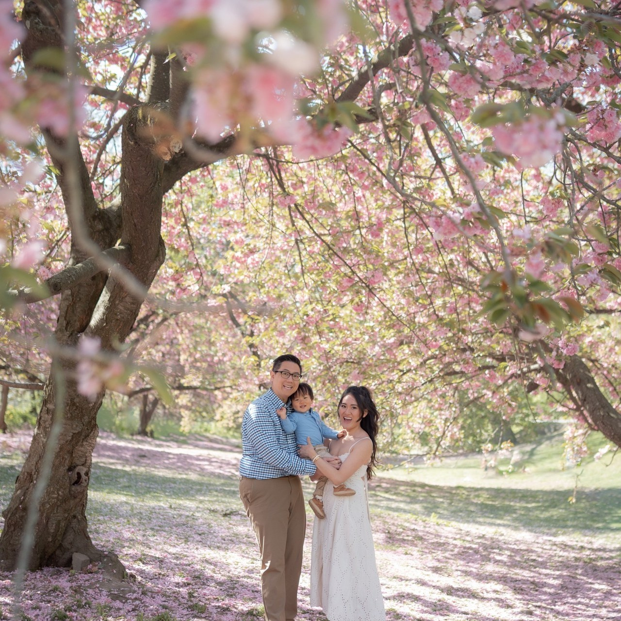 Testimonials. Tori Photographer