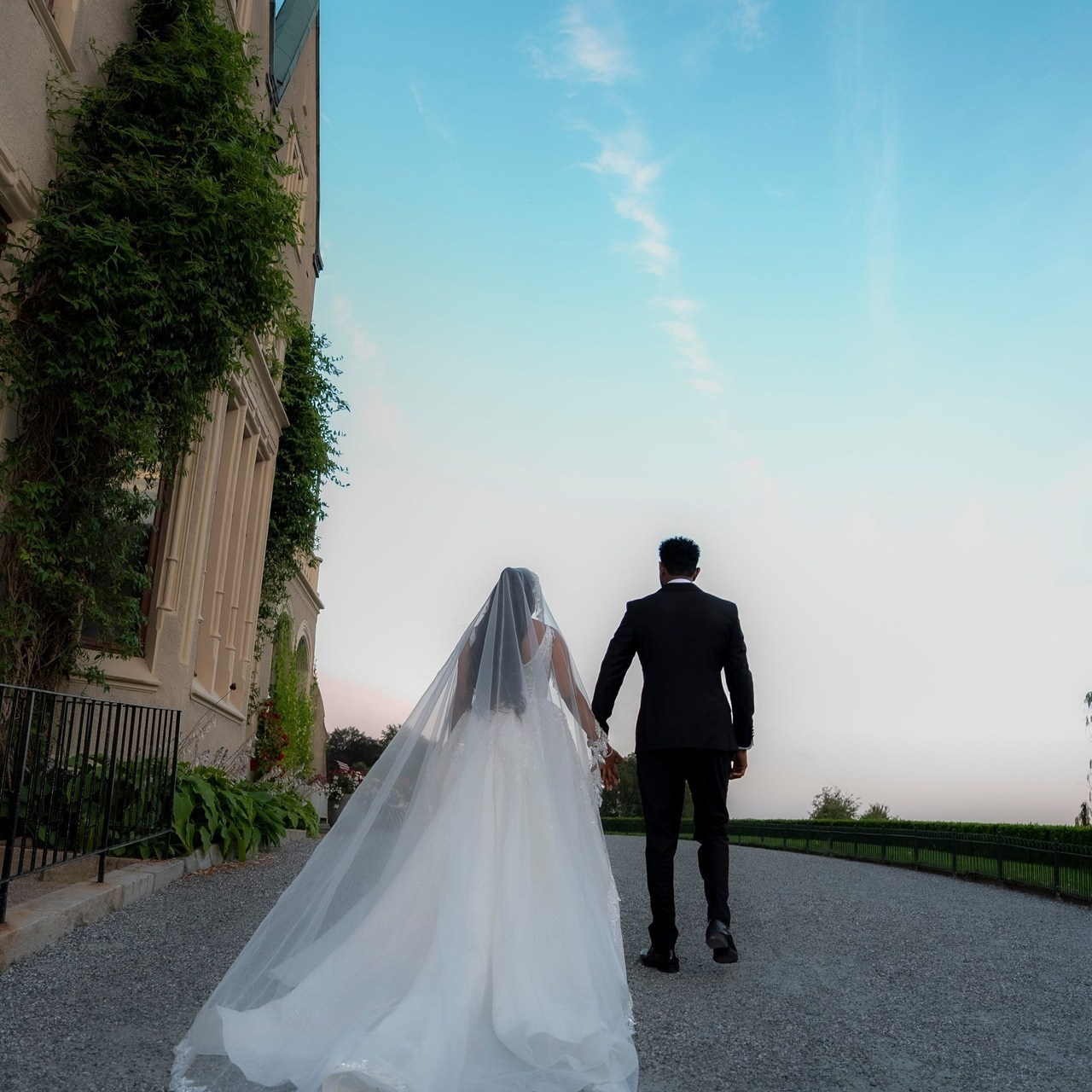 Testimonials. Wedding photogerpher Mamma Habesha