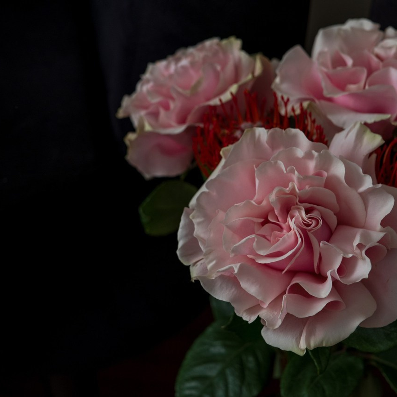 FEEDBACK. Art Photographer