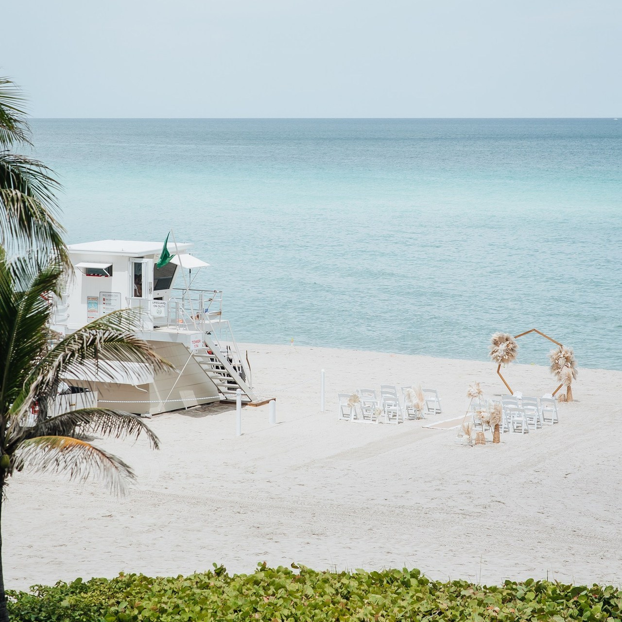 REVIEWS. Alya Leto Photographer