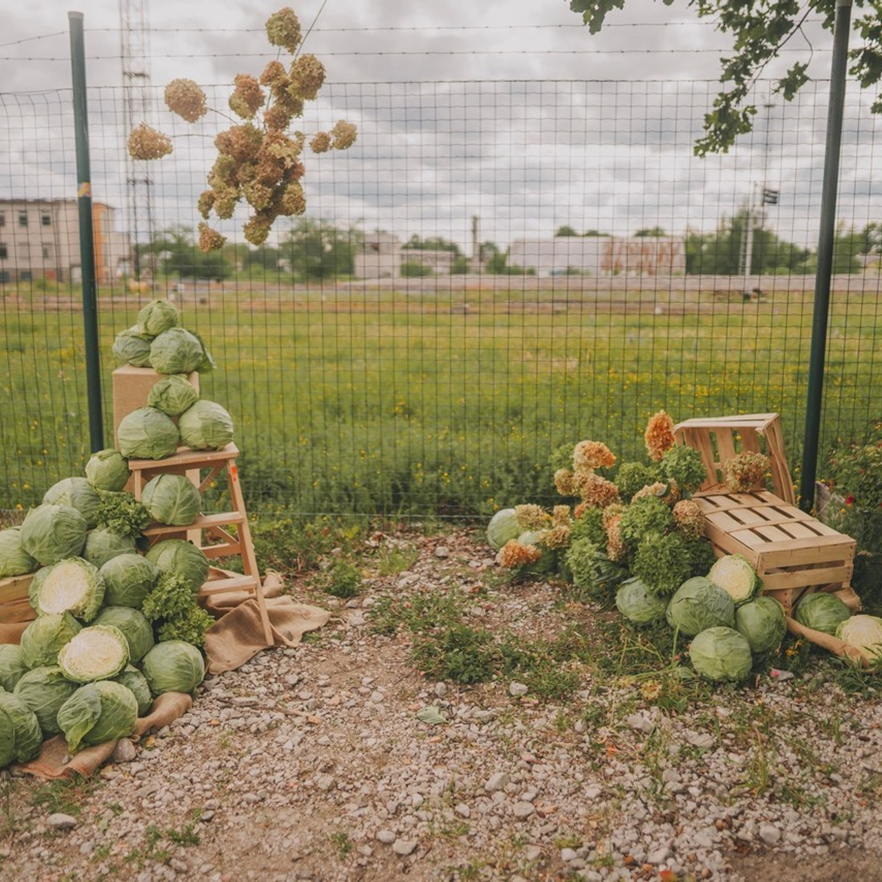 Testimonials. Portrait photographer in Tallinn