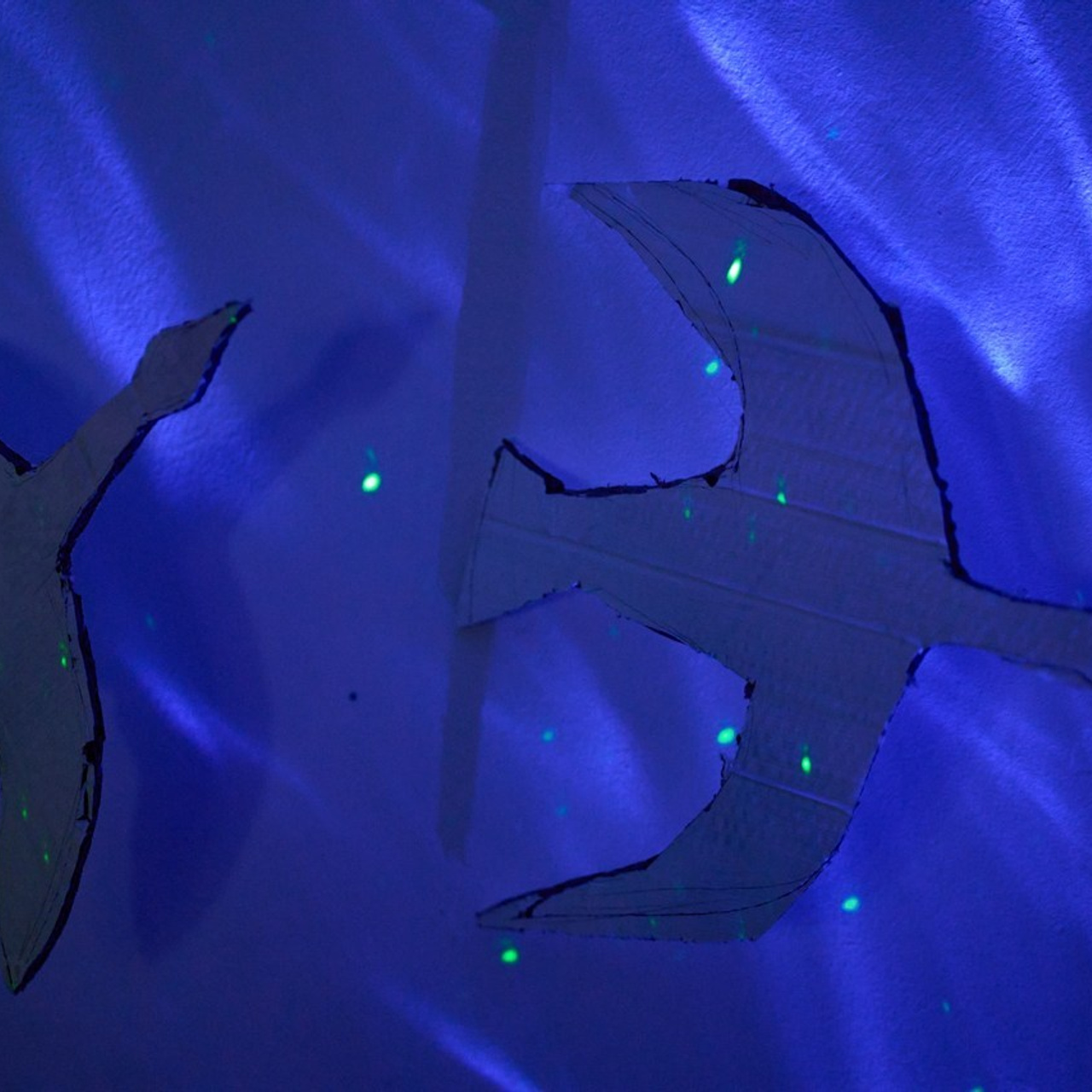 BEWERTUNGEN. Hochzeits- und Familienfotografin in Hannover – Sofia Galin