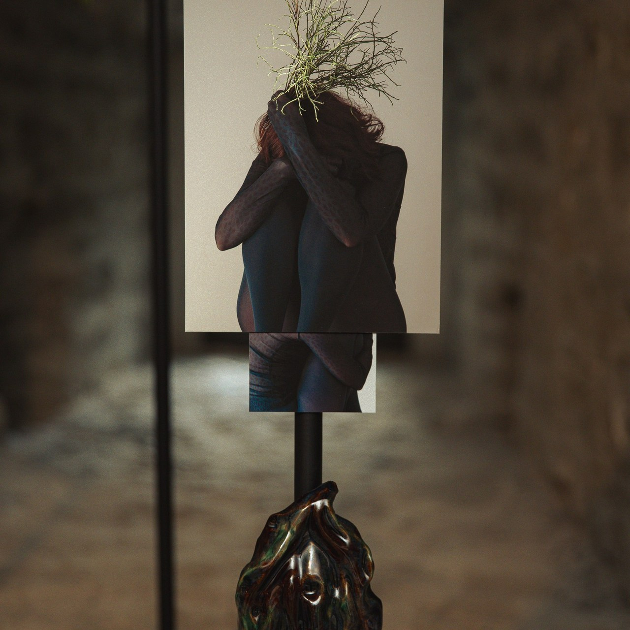 Reviews. Dmitri Diaz Photography