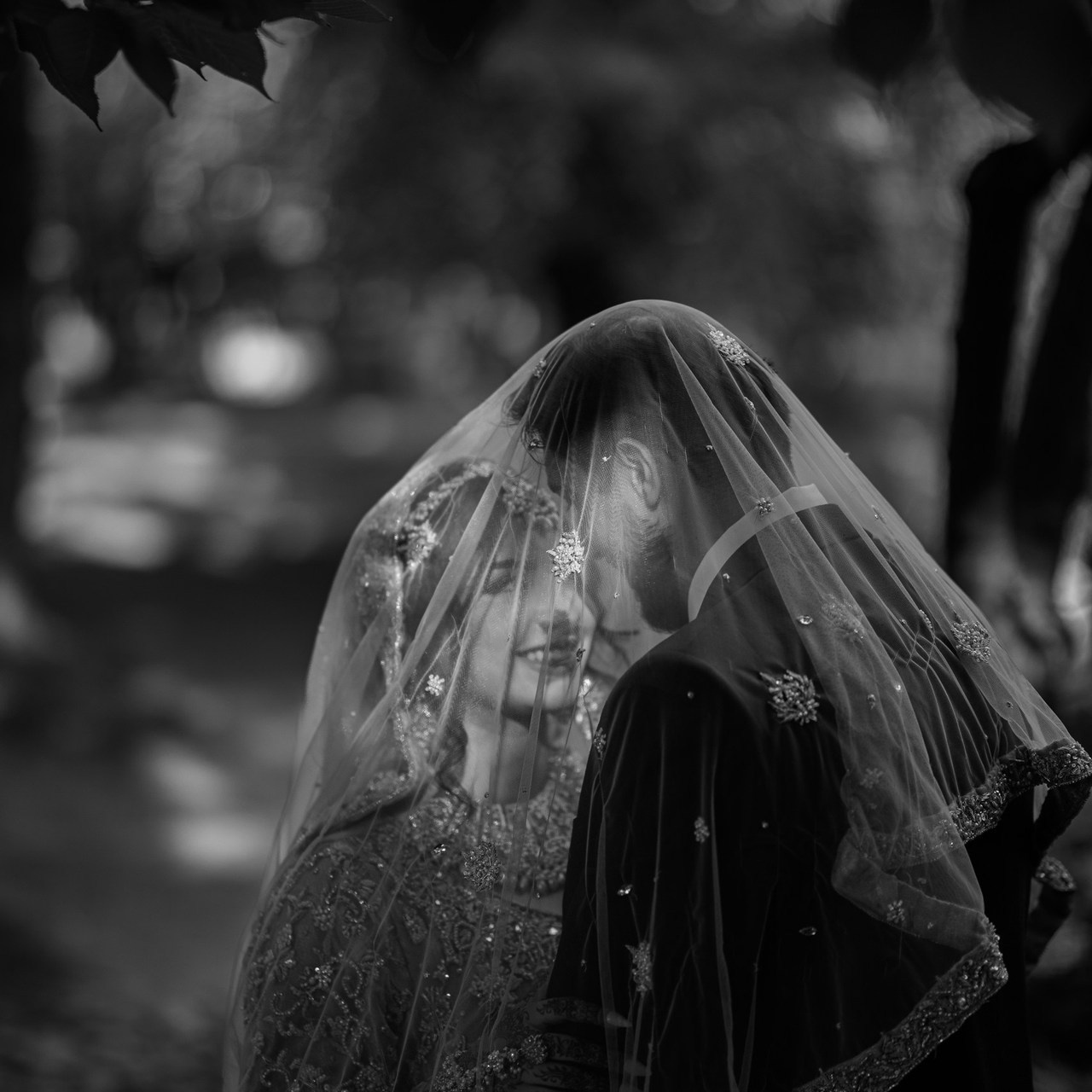 Testimonials. Usama Mohaar