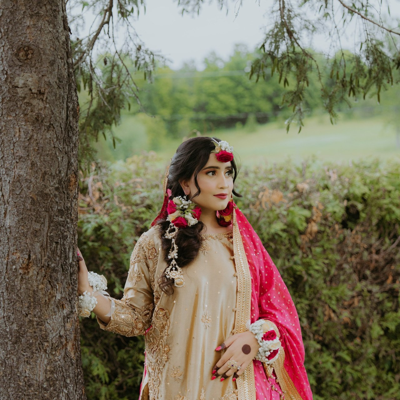 Testimonials. Usama Mohaar