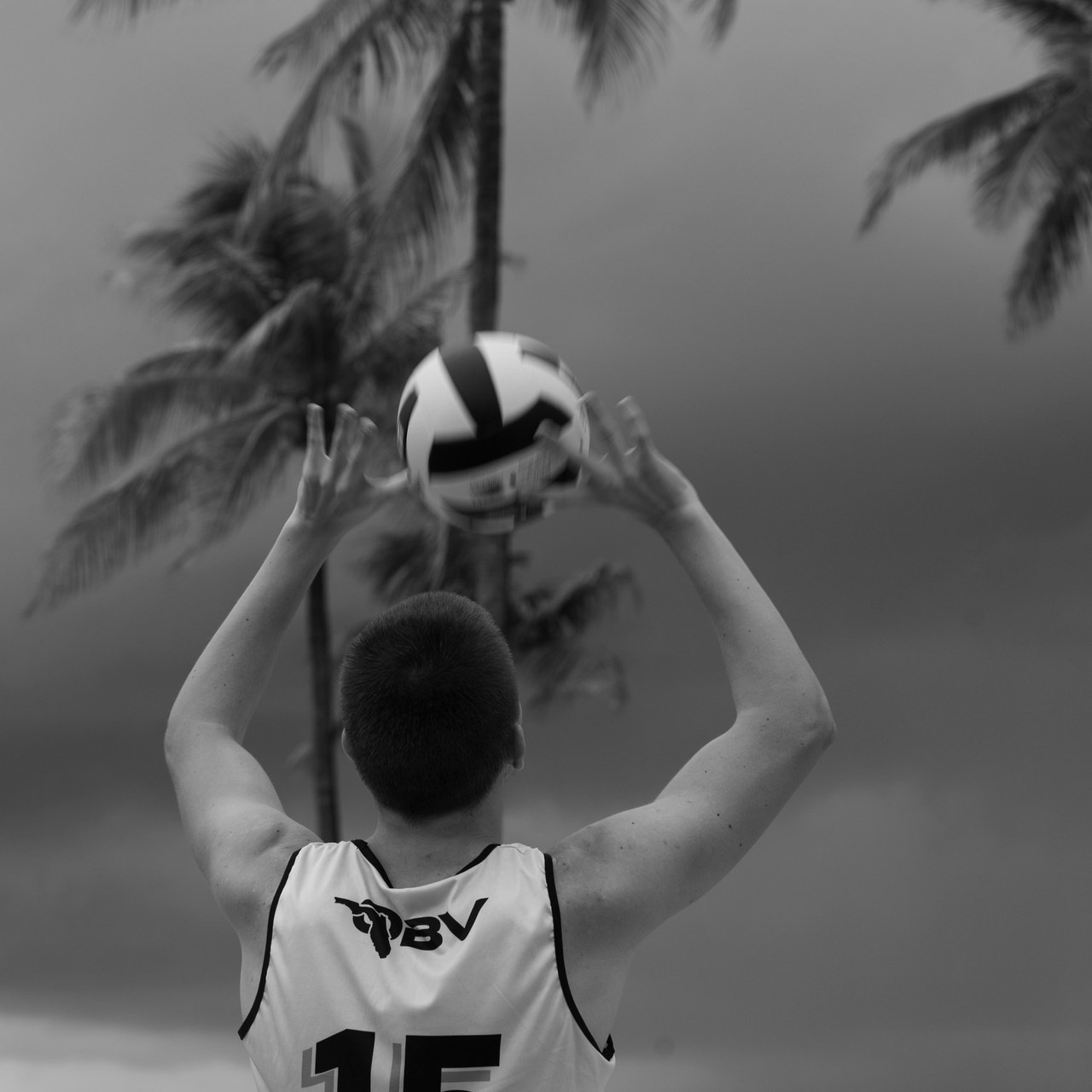 Отзывы. Катерина Шилова