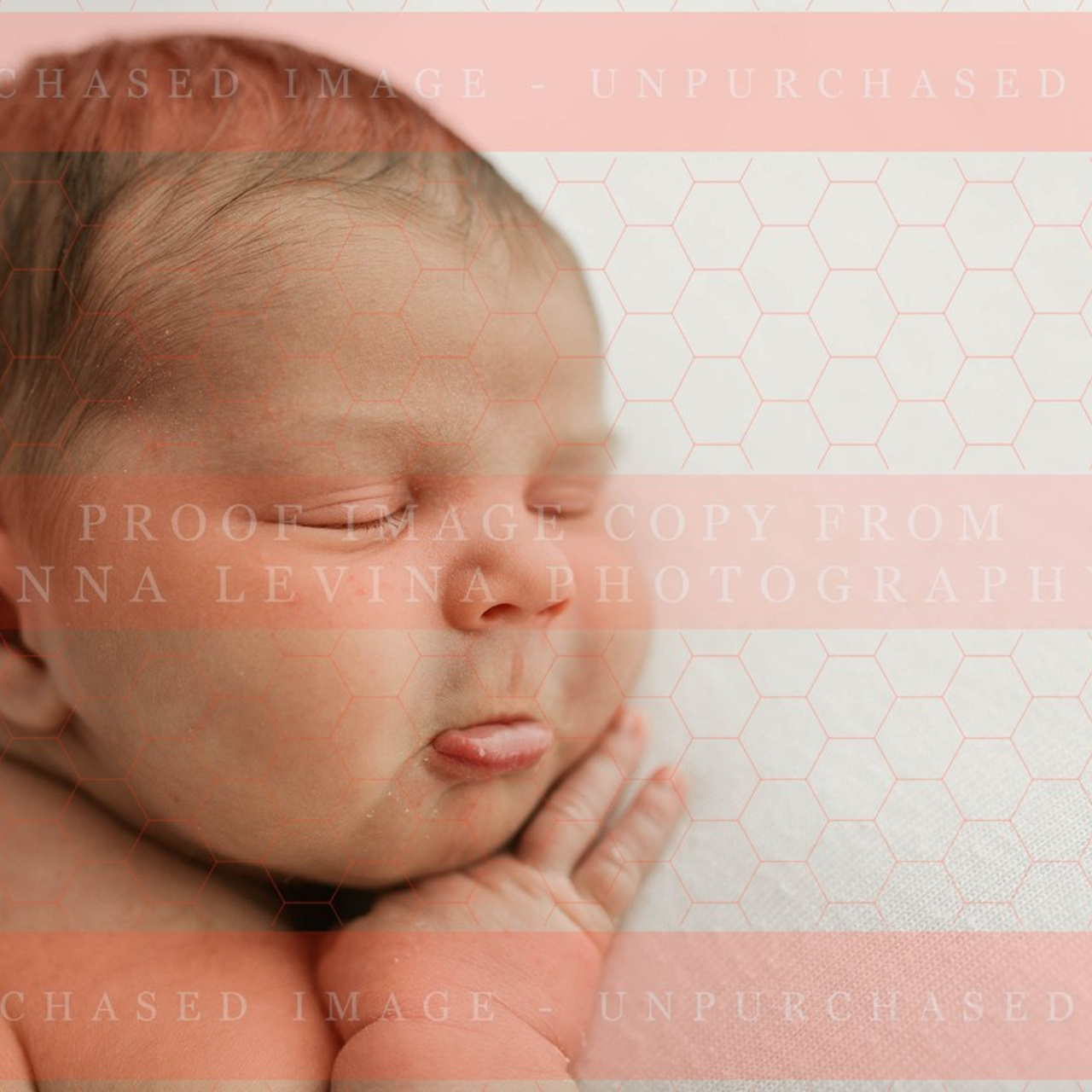 Feedbacks. Anna Levina Photography