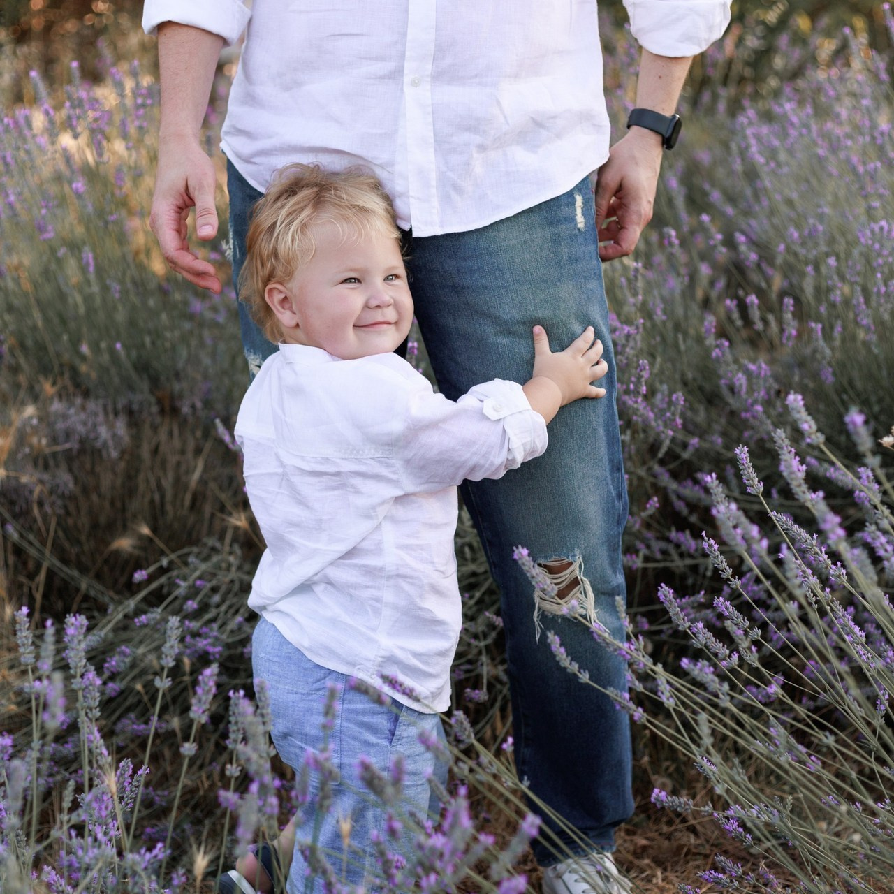 Reviews. Sofiya Volkonskaya