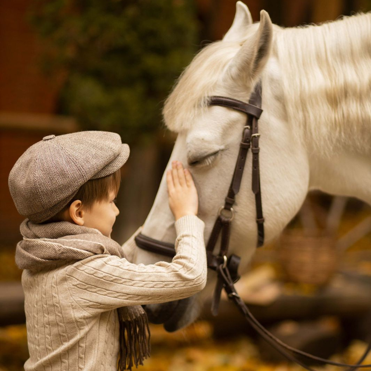 Reviews. Sofiya Volkonskaya