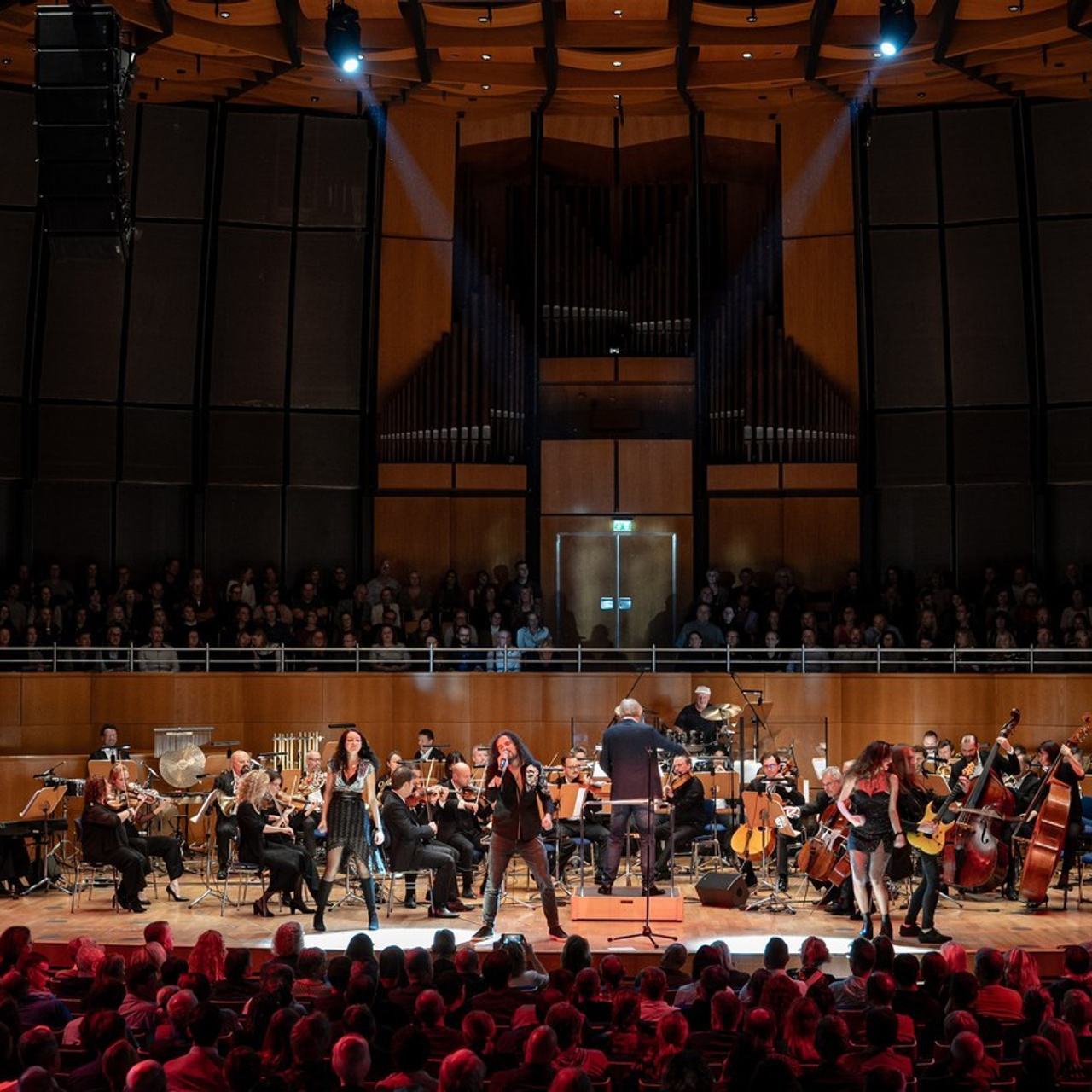 Testimonials. Portrait photographer in Germany and all over Europe Mischa Blank