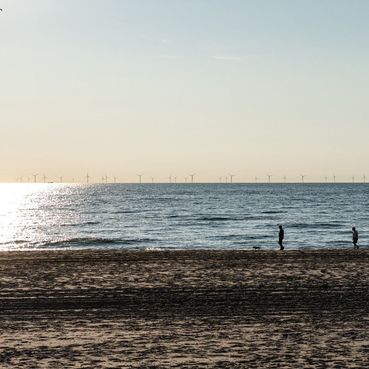 Testimonials. Portrait photographer in Germany and all over Europe Mischa Blank