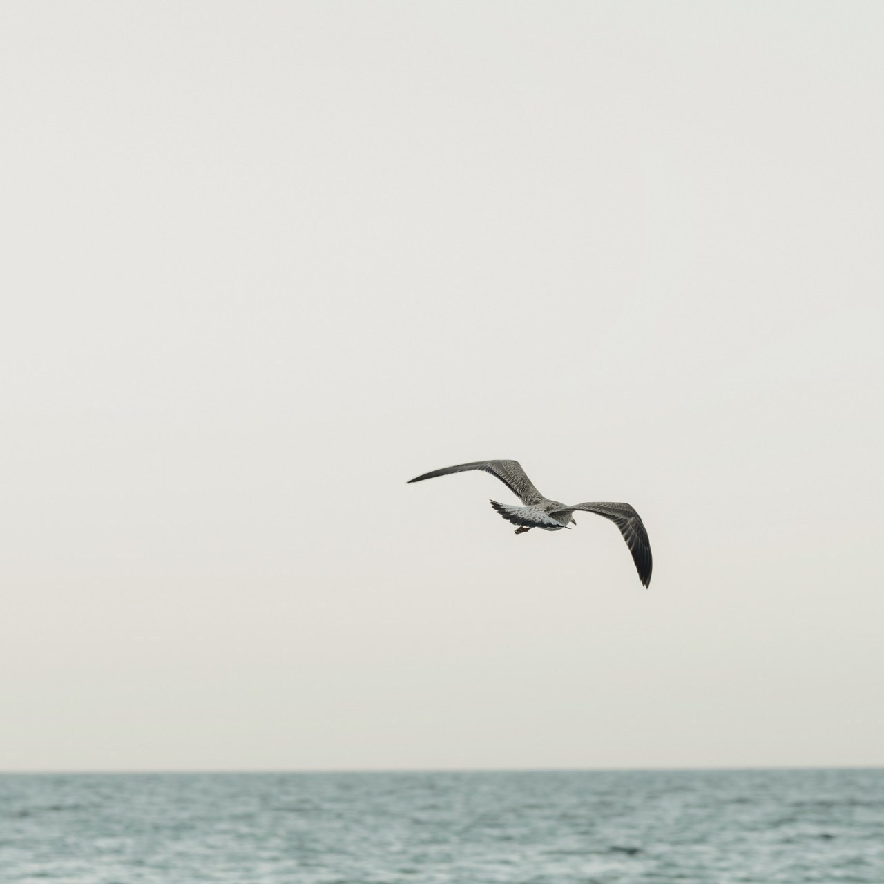 Testimonios. Fotografía Infantil, Familiar y Personal en Benidorm y Costa Blanca Anastasiya López