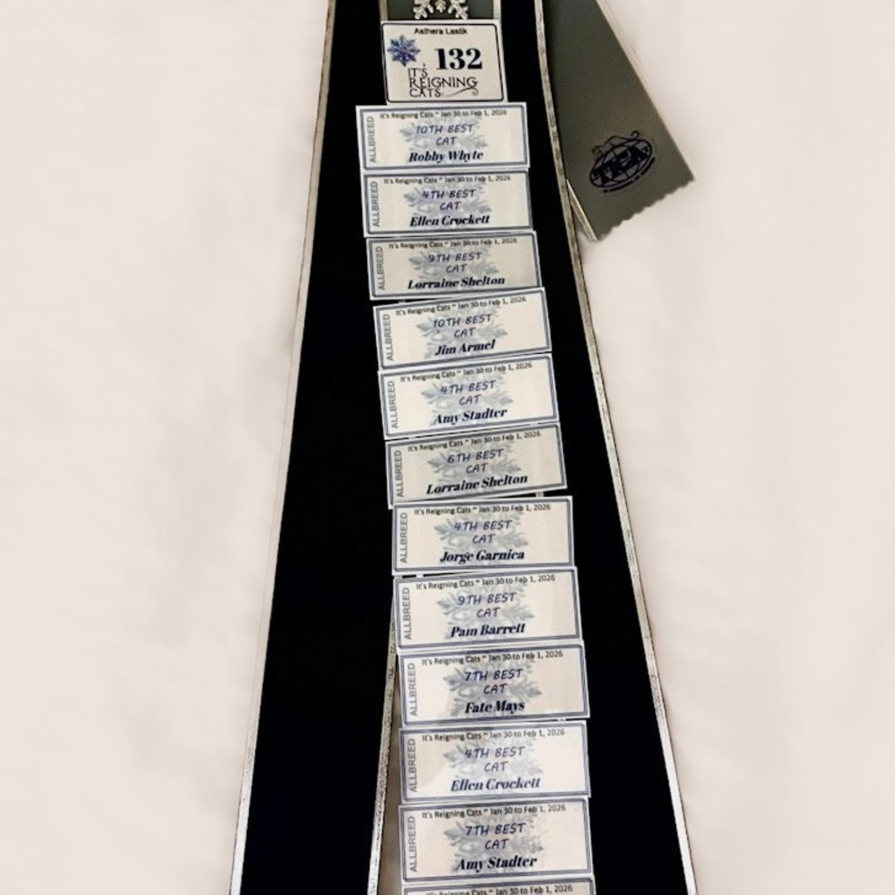 Astera Lastik. Astera Siberians |Hypoallergenic Kittens