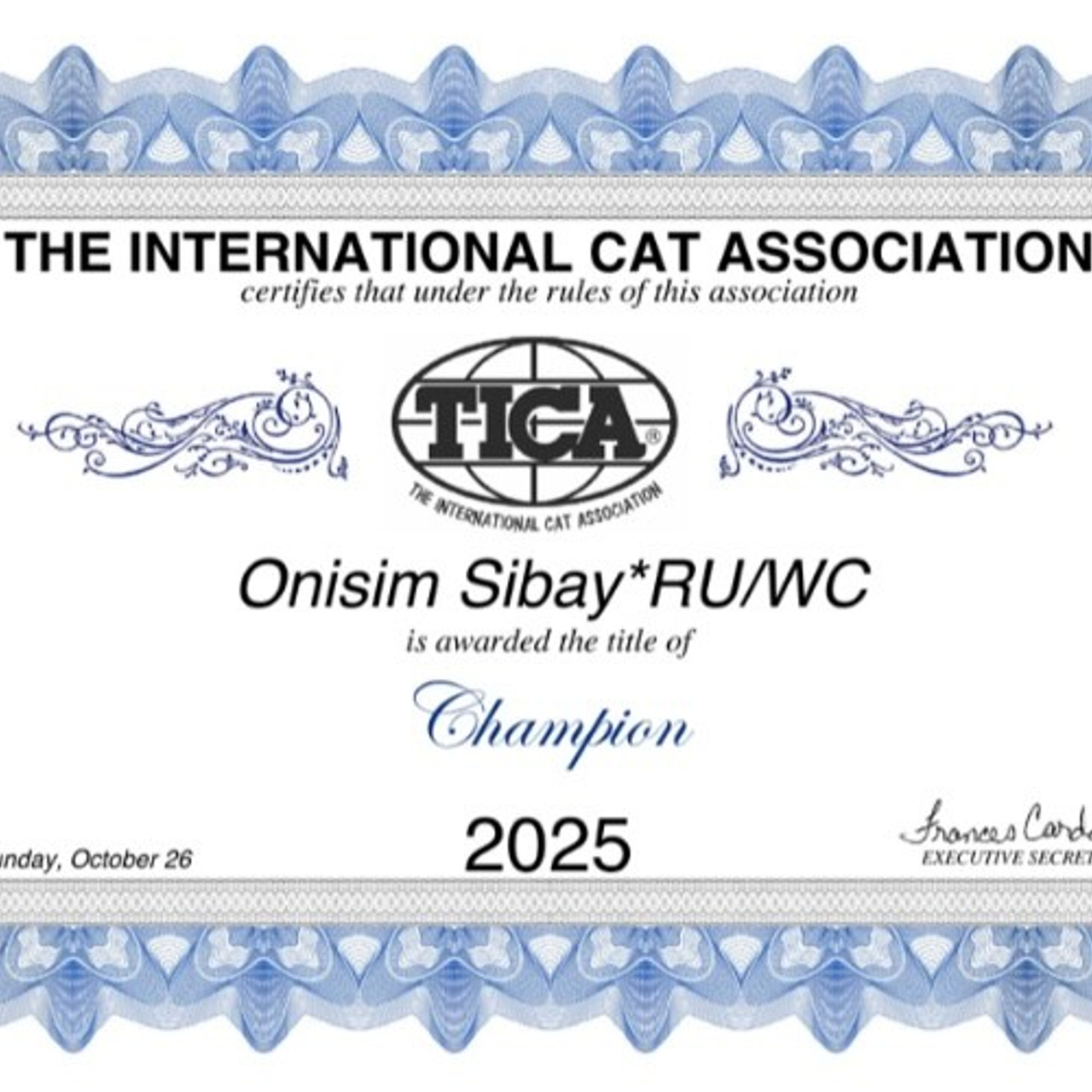 Onisim's TICA champion title