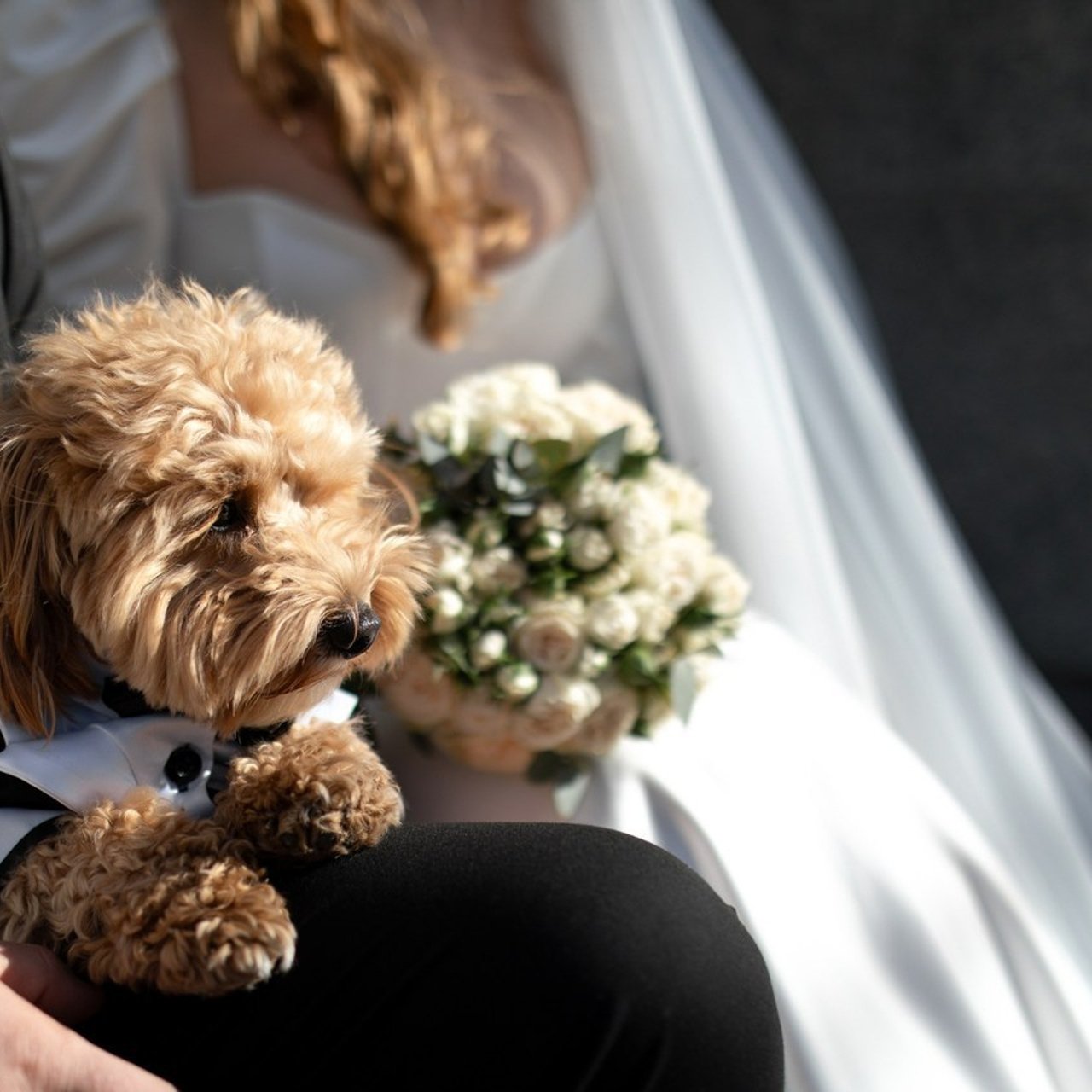 Отзывы. Wedding photographer in Georgia